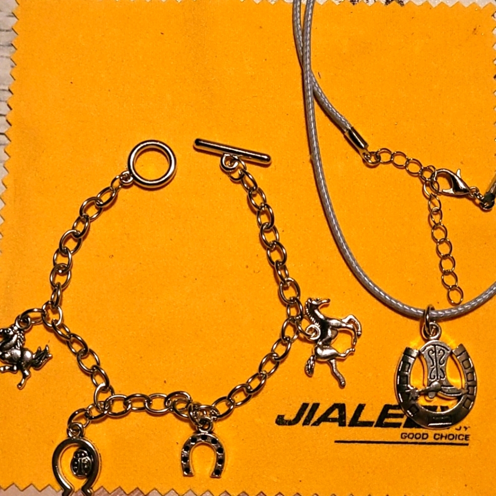Horeshoe/Horses bracelet & necklace